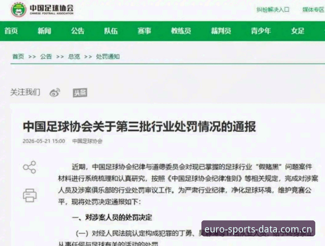 中欧体育怎么下载 中国足协第三批禁足名单全面解析:65人受罚背后的行业整治深度报告